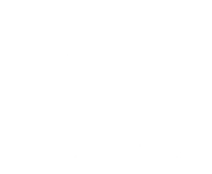 Logo entier blanc de Noctualis – Société de recouvrement de créances à Toulon
