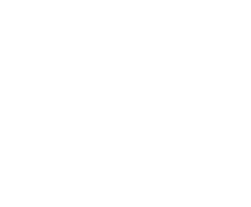 Logo entier blanc de Noctualis – Société de recouvrement de créances à Toulon